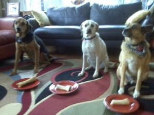 3pups3